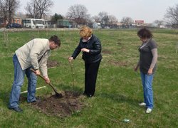 Загальноуніверситетські акції «Чисте довкілля» та «Посади дерево»